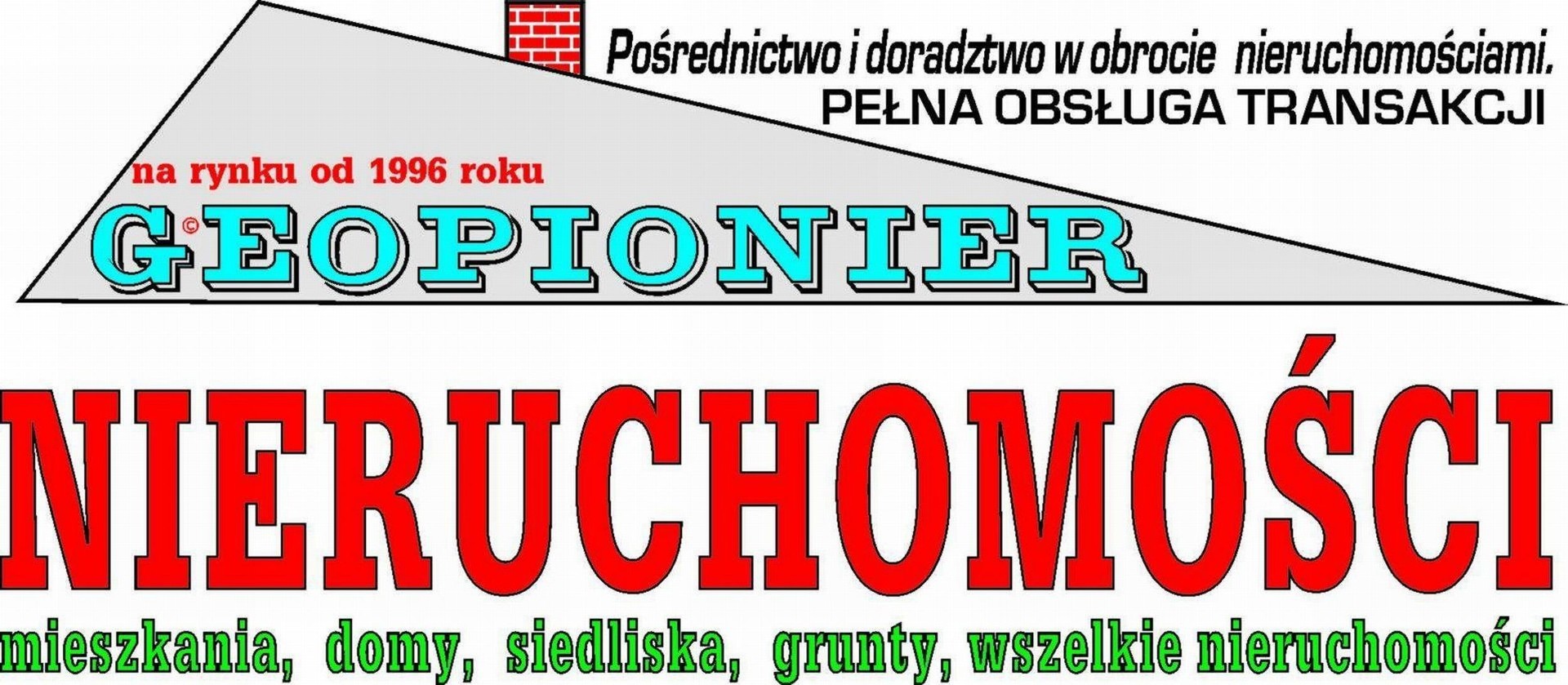 Logo NIERUCHOMOŚCI GEOPIONIER