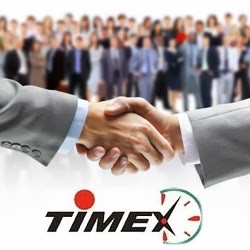 Logo TIMEX Nieruchomości
